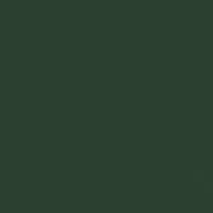 Verde muschio